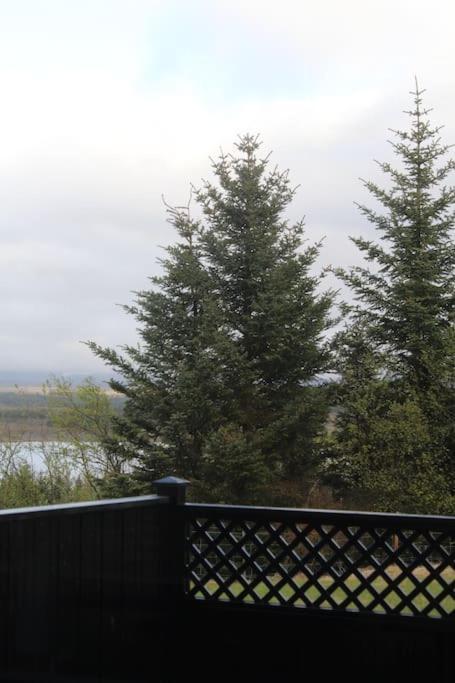 Lejlighed Quiet And Cozy With A View